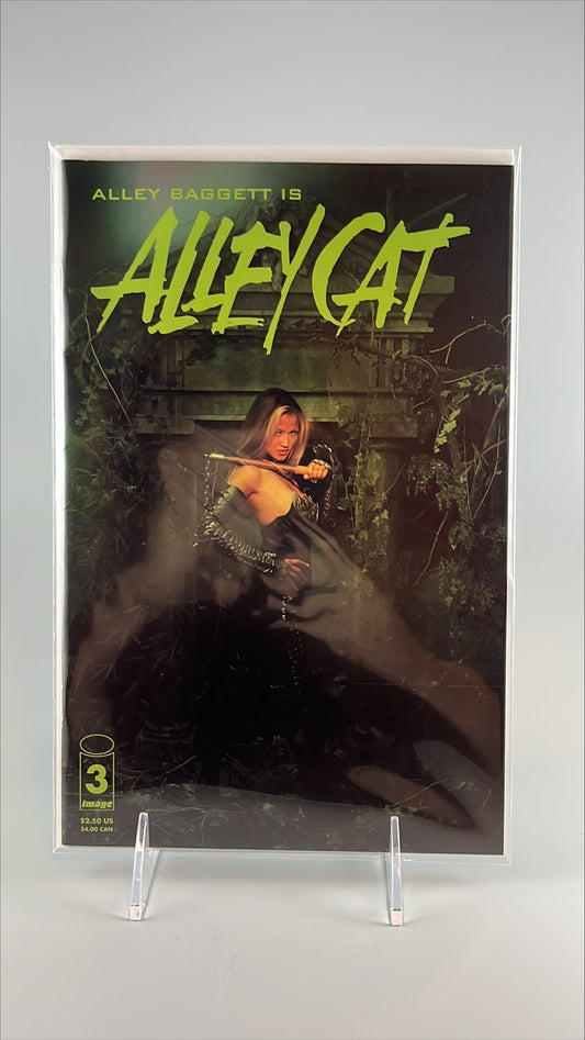 Alley Cat #3