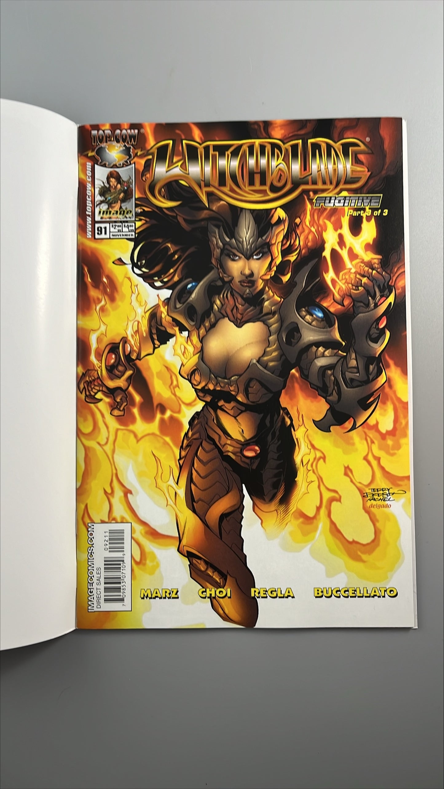 Witchblade #91 (Jay Company Limited Edition Double Cover)