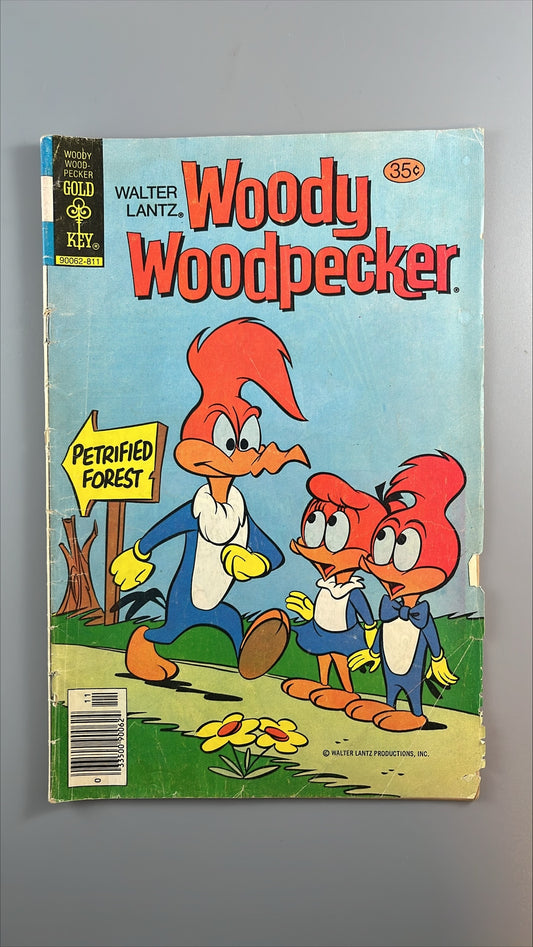 Woody Woodpecker #172