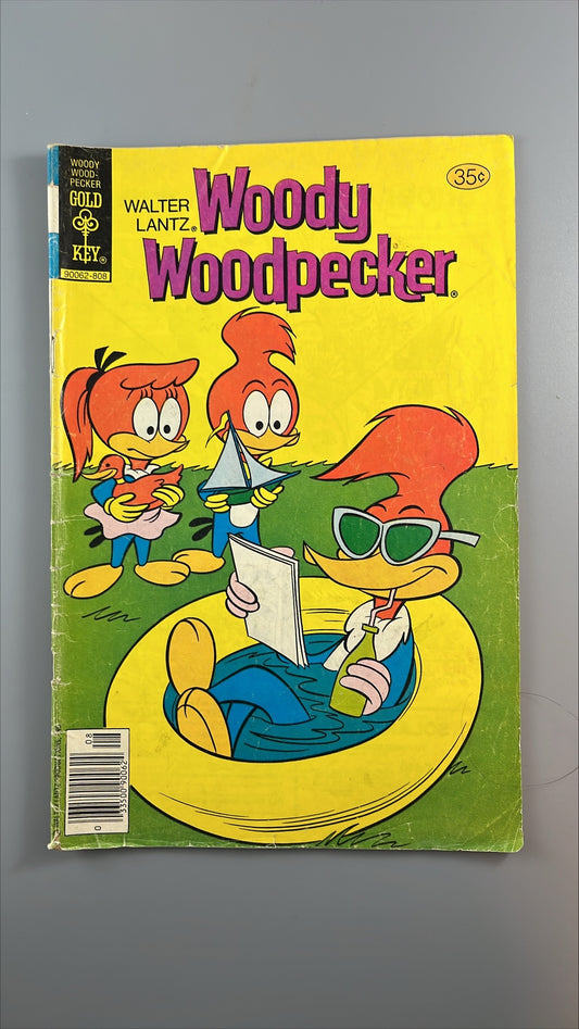 Woody Woodpecker #169